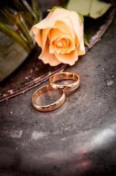 Wedding rings Stock Photos