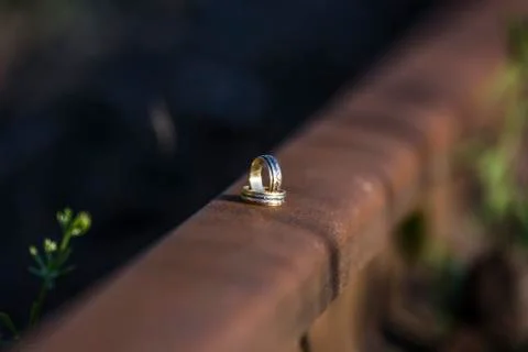 Wedding rings Stock Photos