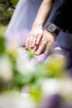 Wedding rings Stock Photos