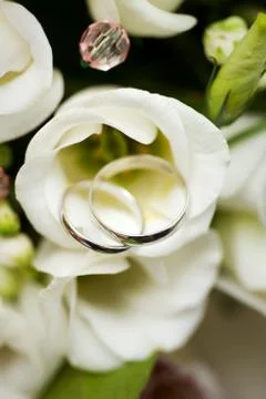 Wedding Rings Stock Photos