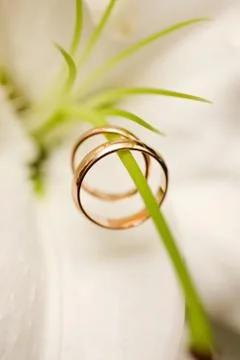 Wedding Rings Foto stock
