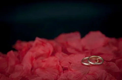 Wedding rings Stock Photos