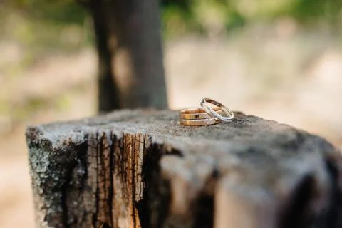 Wedding rings Stock Photos