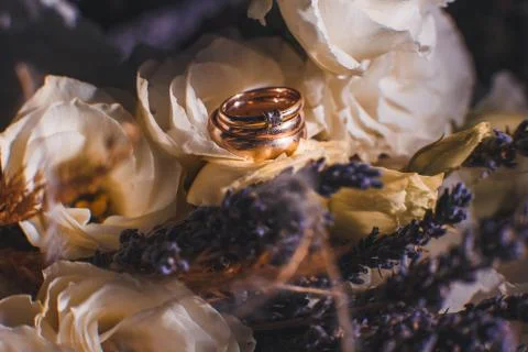 Wedding rings Stock Photos