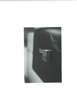 Wedding rings Foto stock