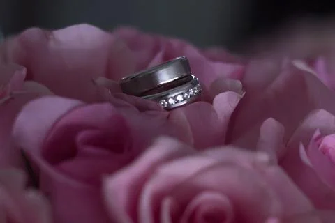 Wedding rings Stock Photos