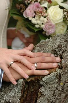 Wedding rings Stock Photos