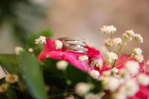 Wedding rings Stock Photos