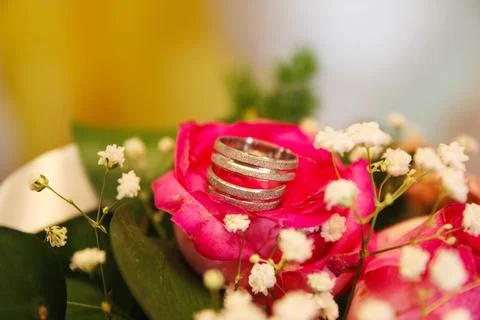 Wedding rings Stock Photos