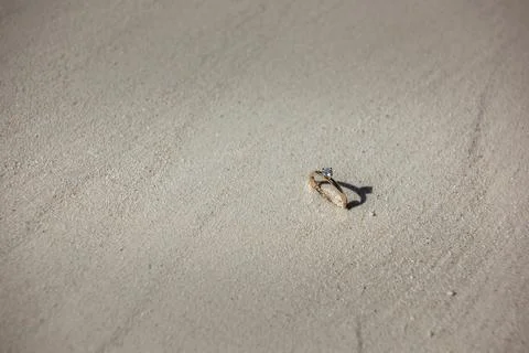Wedding rings placed on seashell in smooth white sand background Stock Photos