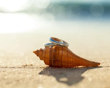 Wedding rings put on the beachside. Stock Photos