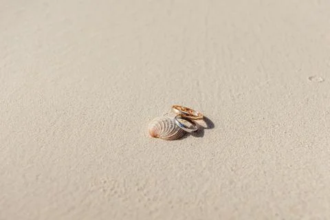 Wedding rings resting on seashell in beach sand Stock Photos