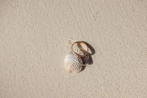 Wedding rings resting on seashell in beach sand Stock Photos