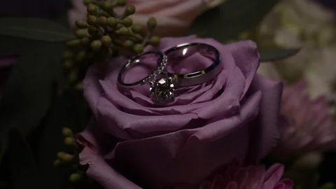 Wedding Rings on a Rose Stock Footage 104684401