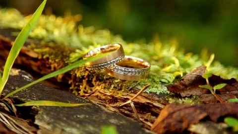 Wedding rings in slow motion Stock Footage 81987443