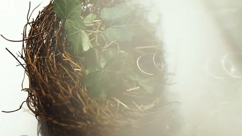 Wedding rings on socket Stock Footage 75724896