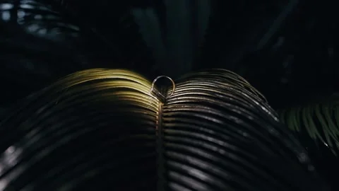 Wedding rings standing on the table and reflected from the glass surface Vídeo Stock 148557402