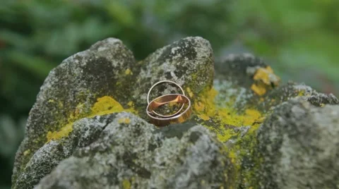 Wedding rings on a stone Stock Footage 60602873