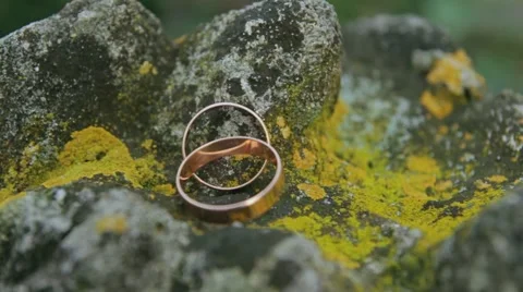 Wedding rings on a stone Stock Footage 60603022