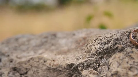 Wedding rings on a stone Stock Footage 70944814