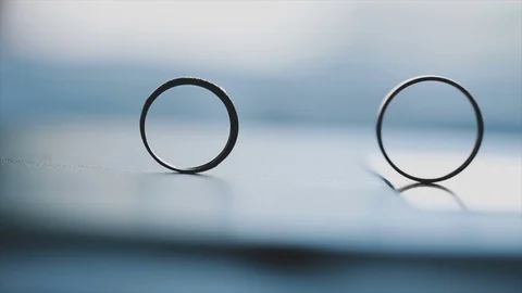 Wedding rings on the table kittens to each other Stock Footage 79869242