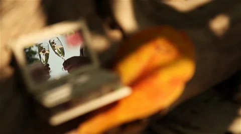 Wedding rings on a tree Stock Footage 38317221