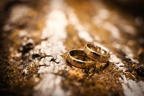 Wedding rings on a tree Stock Photos