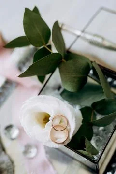 Wedding rings with a wedding decor Stock Photos