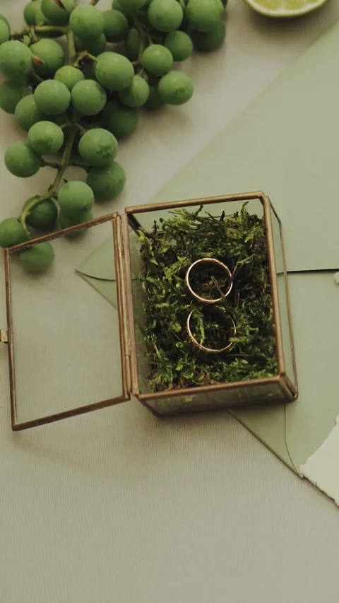 Wedding rings. Wedding setup with elegant invites, exquisite rings, and natural Stock Footage 306530107