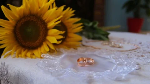 Wedding rings on a white background Stock Footage 87993346