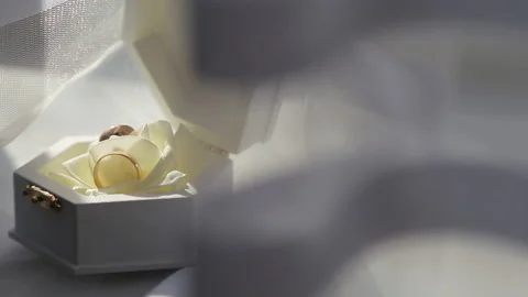 Wedding rings in a white box on a white background. Stock Footage 170394502