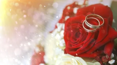 Wedding rings.mp4 Stock Footage 44055135
