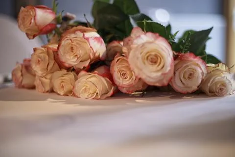 Wedding Roses 스톡 사진