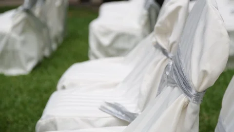Wedding Seating Stock Footage 104689513