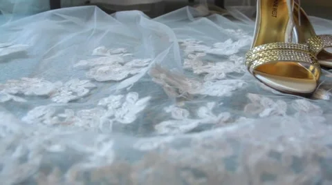Wedding Shoes Video stock 43494742