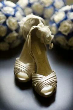Wedding shoes Stock Photos