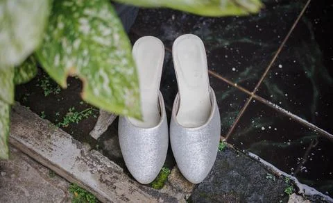 Wedding shoes Stock Photos