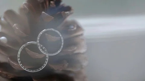 Wedding Silver Rings on the cone macro closeup shoot diamon Jewellery Stock-Footage 93716120
