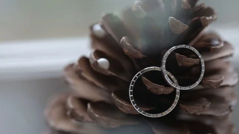 Wedding Silver Rings on the cone macro closeup shoot diamon Jewellery Stock Footage 93716177