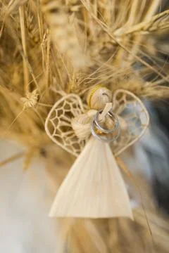 Wedding silver rings Stock Photos