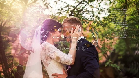 Wedding Slideshow Stock After Effects