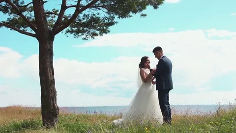 Wedding in slow motion Stock Footage 81987121