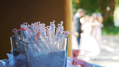 Wedding Soap Bubbles Stock Footage 106210382
