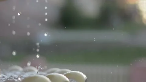 Wedding - splashes, drops Stock Footage 148092458