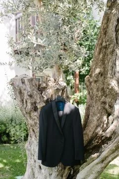 Wedding suit. Stock Photos