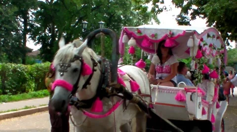 Wedding in Suzdal Stock Footage 7766287