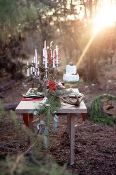 Wedding table and cake in the forest with flowers and berries on a brown Foto stock
