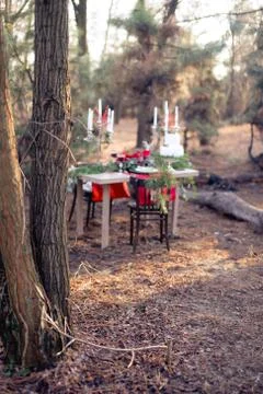 Wedding table and cake in the forest with flowers and berries on a brown Foto stock