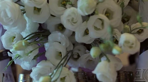 The wedding table. Champagne, cherries and white flowers. Stock Footage 68657109