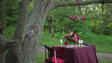 Wedding table decor at nature on a sunny day Stock Footage 51342984